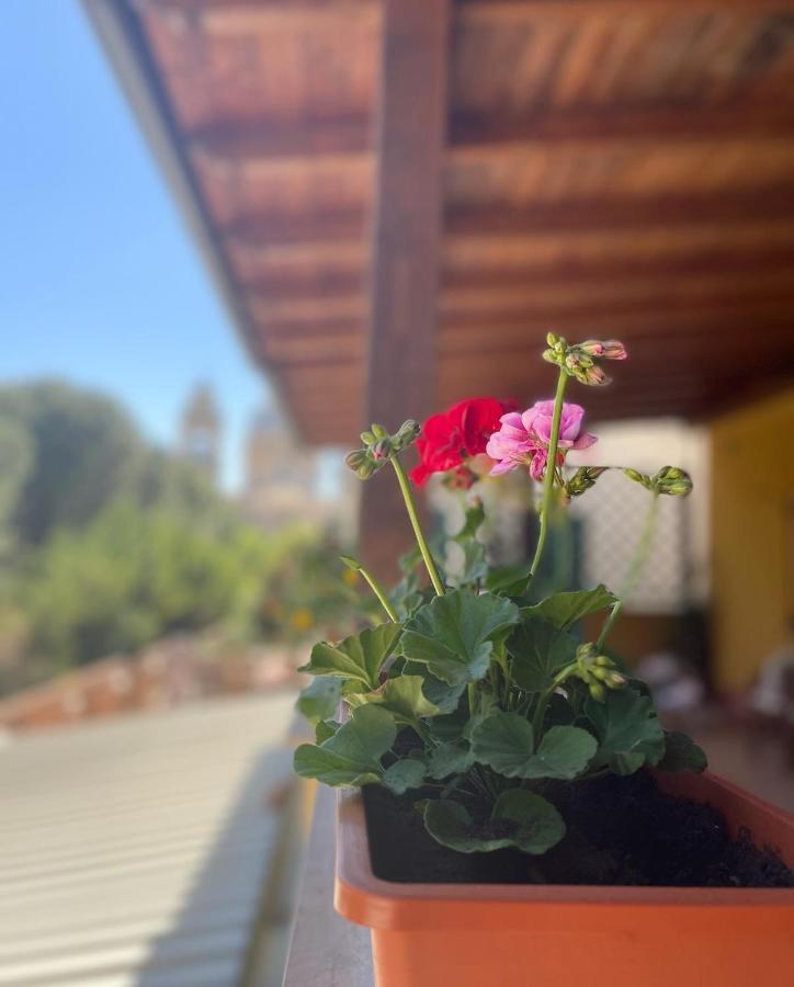 La Terrazza Dei Ciliegi Hotel Santa Maria Degli Angeli  Bagian luar foto